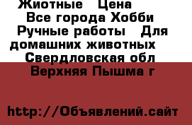 Жиотные › Цена ­ 50 - Все города Хобби. Ручные работы » Для домашних животных   . Свердловская обл.,Верхняя Пышма г.